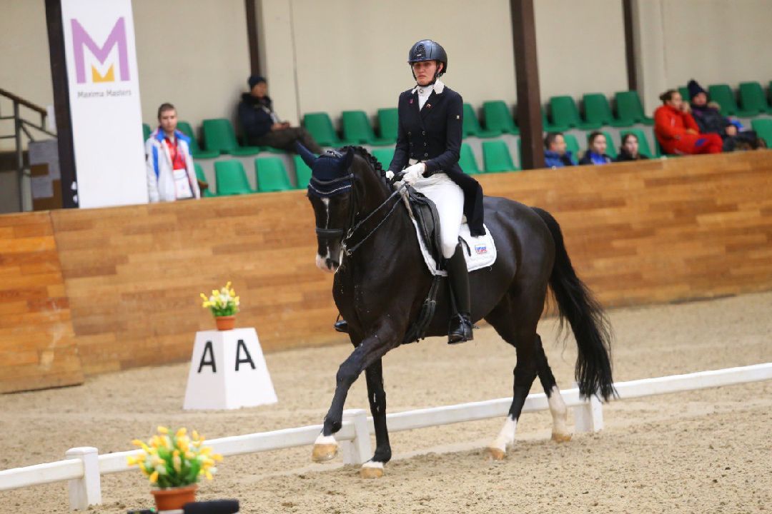 Дмитров, MAXIMA PARK, конный спорт