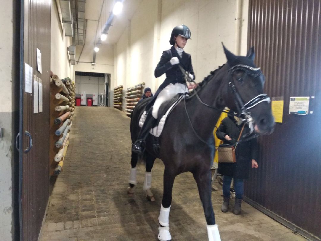 Дмитров, MAXIMA PARK, конный спорт