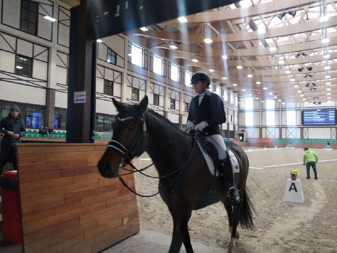 Дмитров, MAXIMA PARK, конный спорт