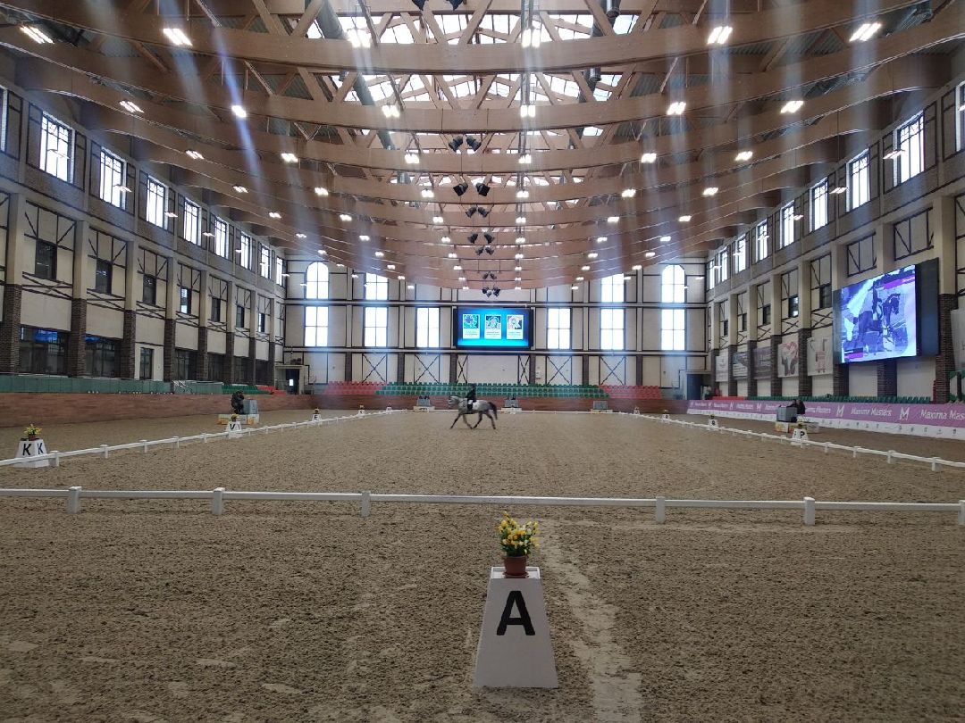 Дмитров, MAXIMA PARK, конный спорт