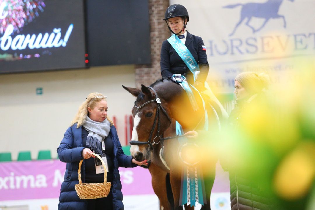 Дмитров, MAXIMA PARK, конный спорт