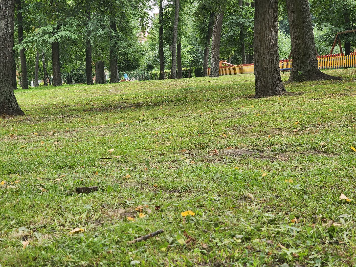 Павловский Посад, городской округ Павловский Посад, парк, лето, благоустройство, газон