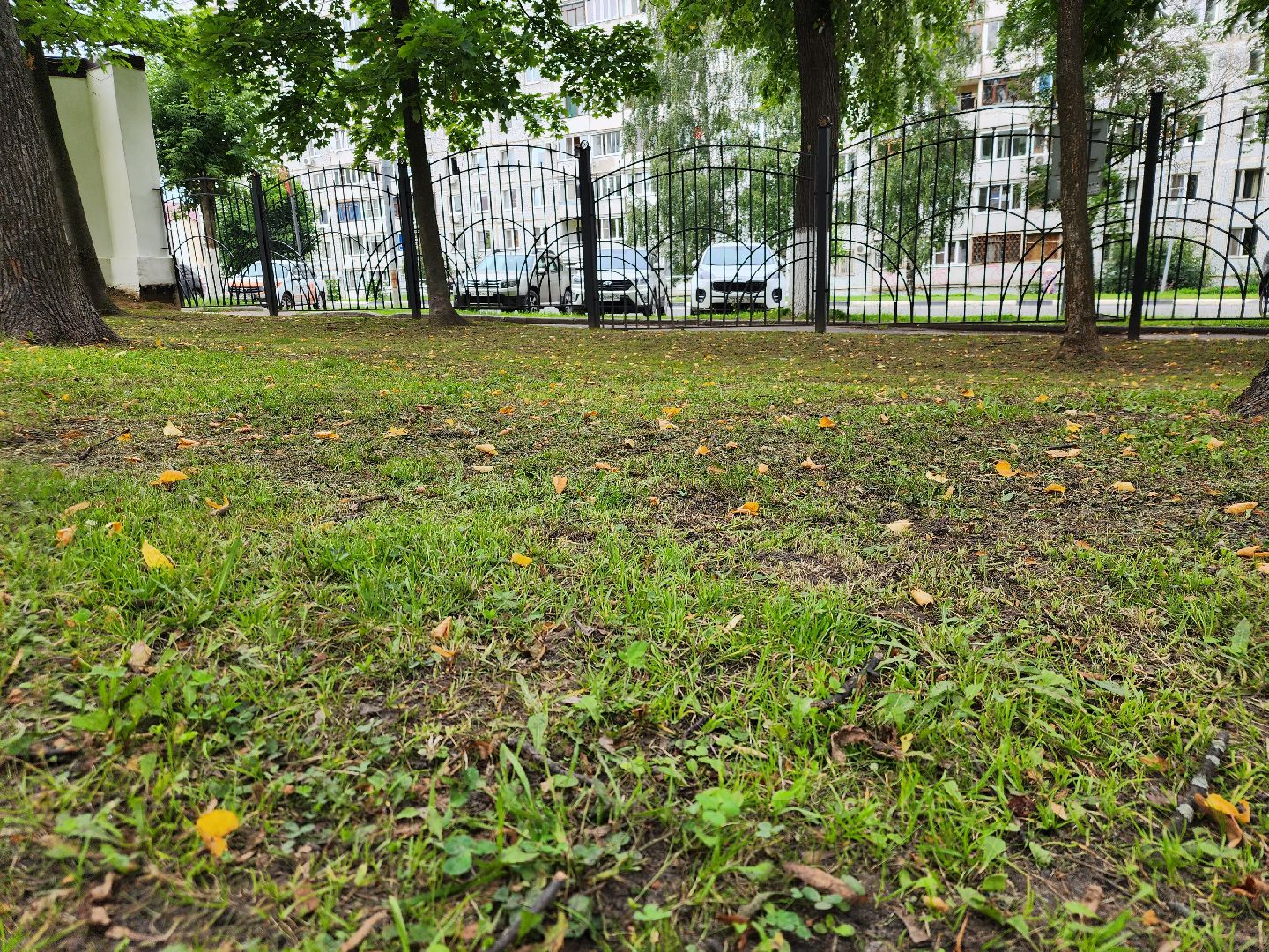 Павловский Посад, городской округ Павловский Посад, парк, лето, благоустройство, газон