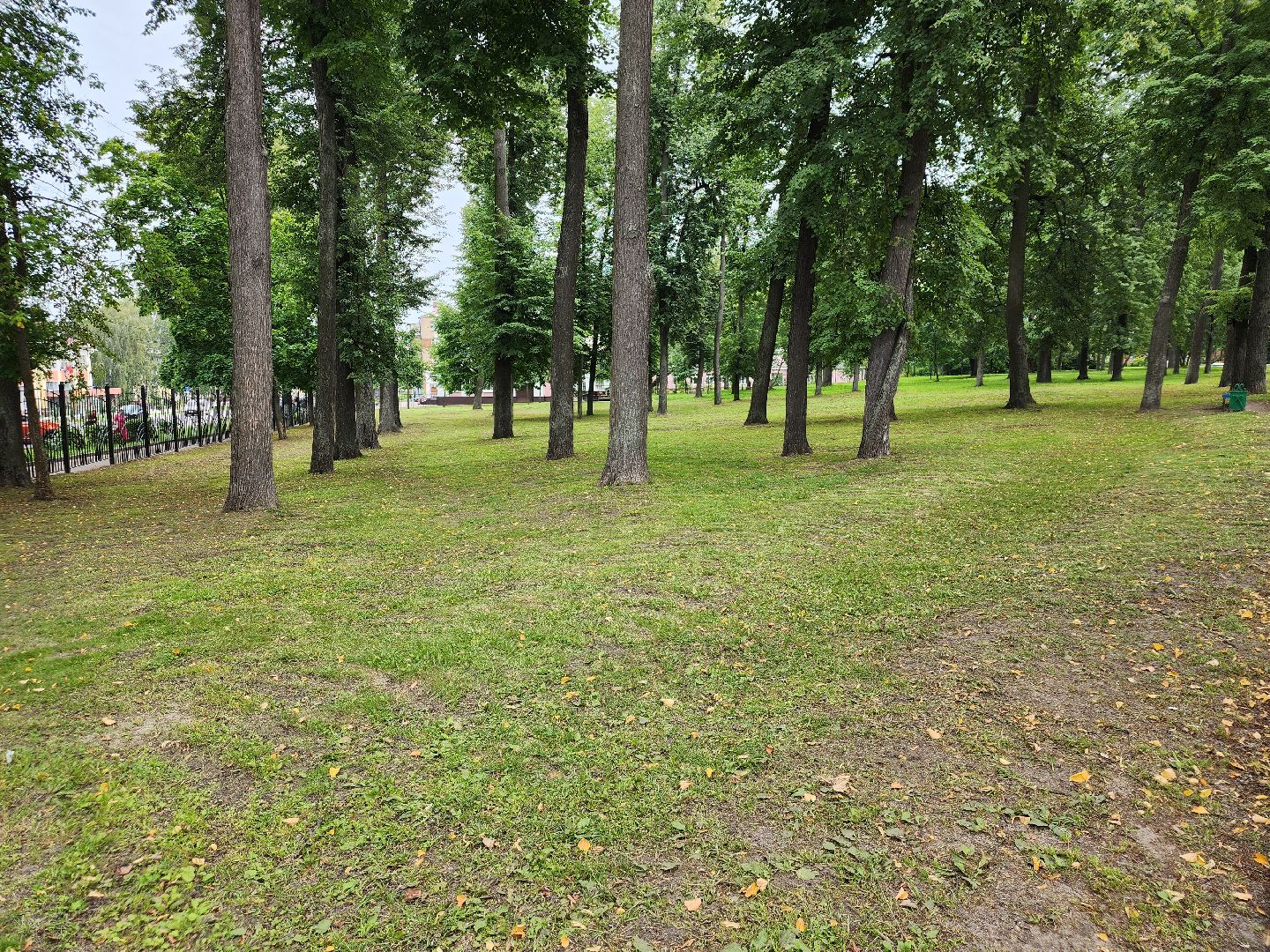 Павловский Посад, городской округ Павловский Посад, парк, лето, благоустройство, газон