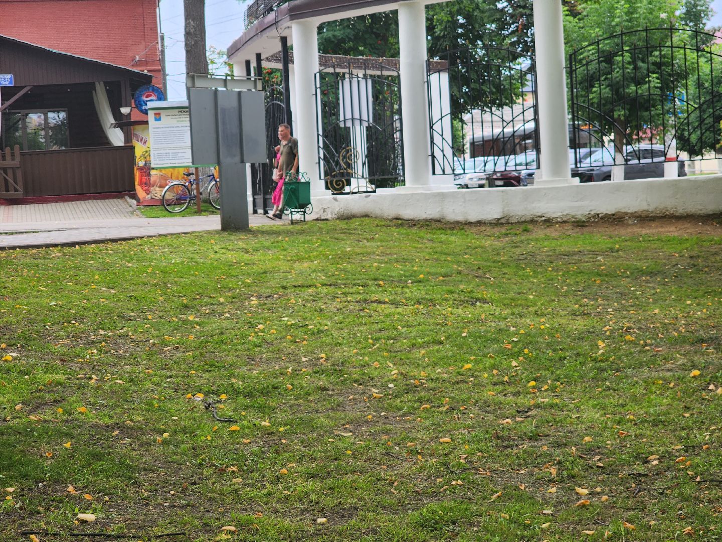 Павловский Посад, городской округ Павловский Посад, парк, лето, благоустройство, газон