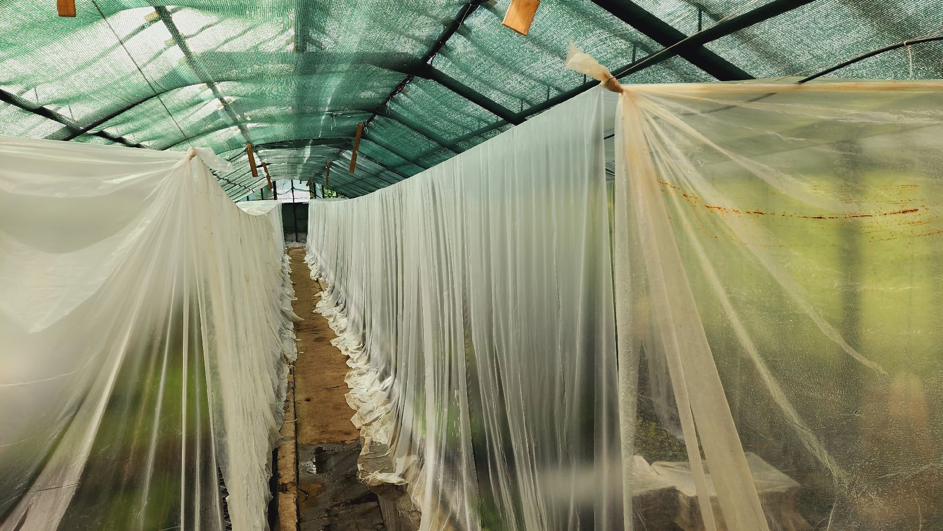 Подмосковье, Ивантеевка, экономика