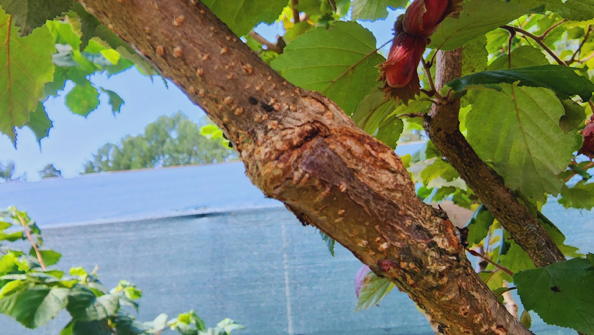 Подмосковье, Ивантеевка, экономика