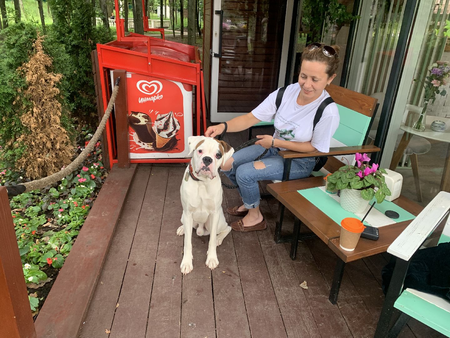 Собаки, Белаз, дрессировка, кинолог,немецкий боксер, Красногорск