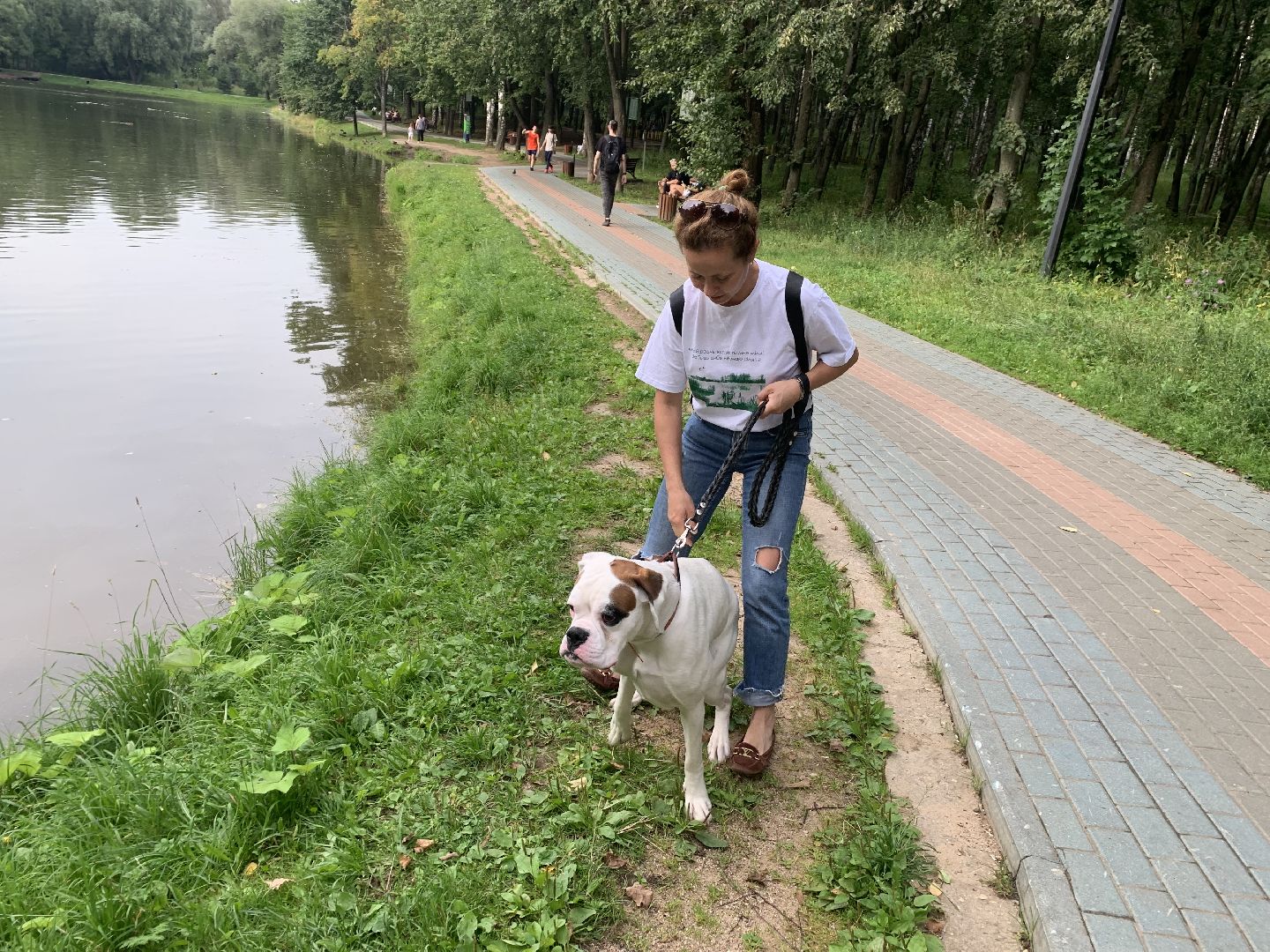 Собаки, Белаз, дрессировка, кинолог,немецкий боксер, Красногорск