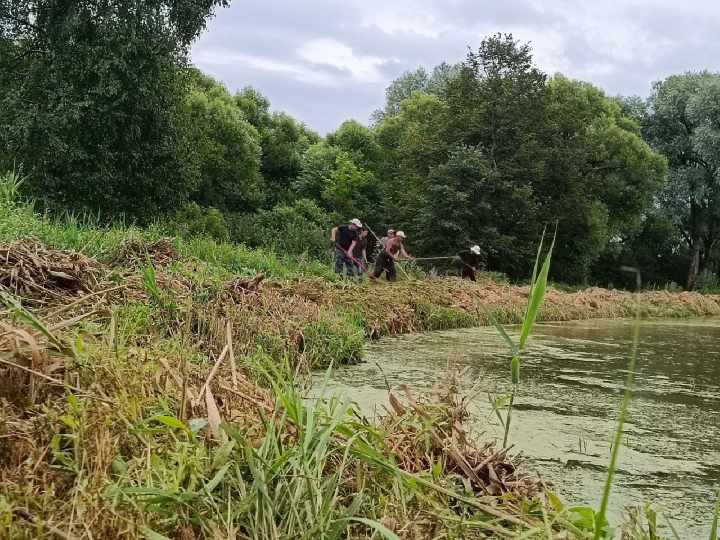 Можайск, Можайский городской округ, Подмосковье, 100 прудов и озёр, программа губернатора, губернатора, пруд, расчистка, жители, экология