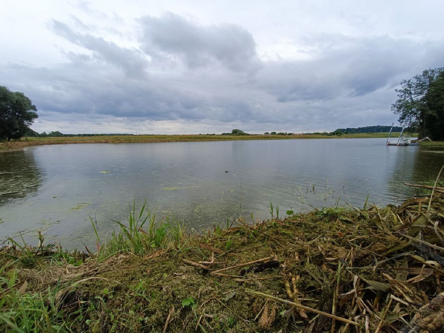 Можайск, Можайский городской округ, Подмосковье, 100 прудов и озёр, программа губернатора, губернатора, пруд, расчистка, жители, экология
