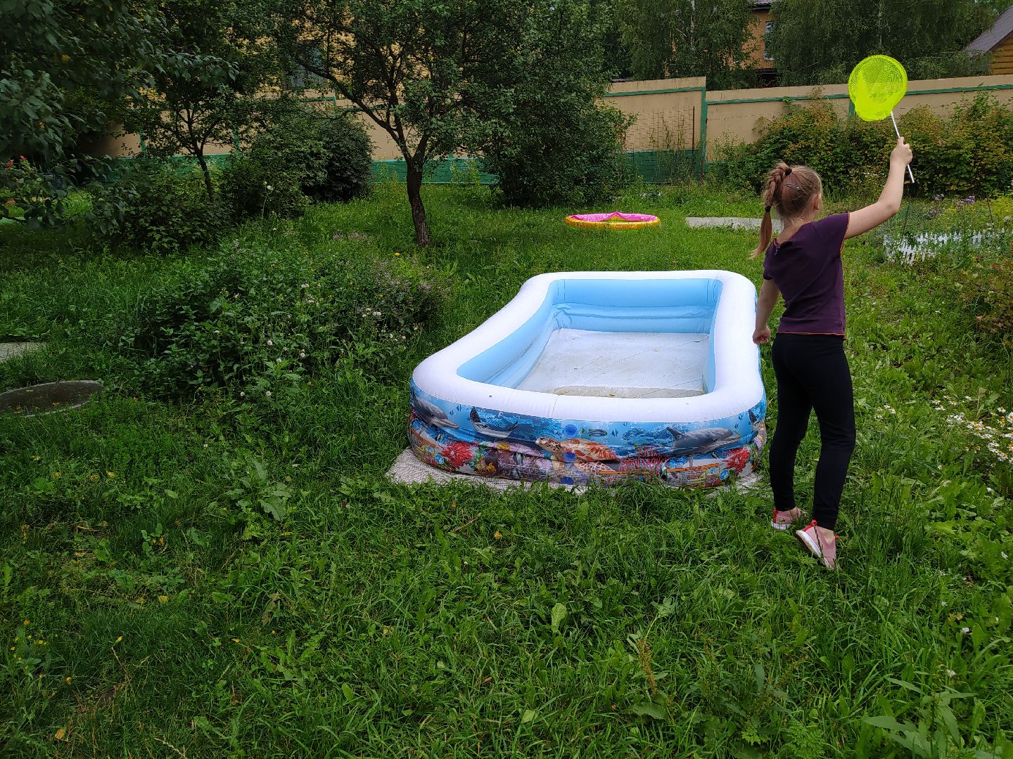 Истра, Дедовсе, Монтессори, дети, школа, первое сенятбря