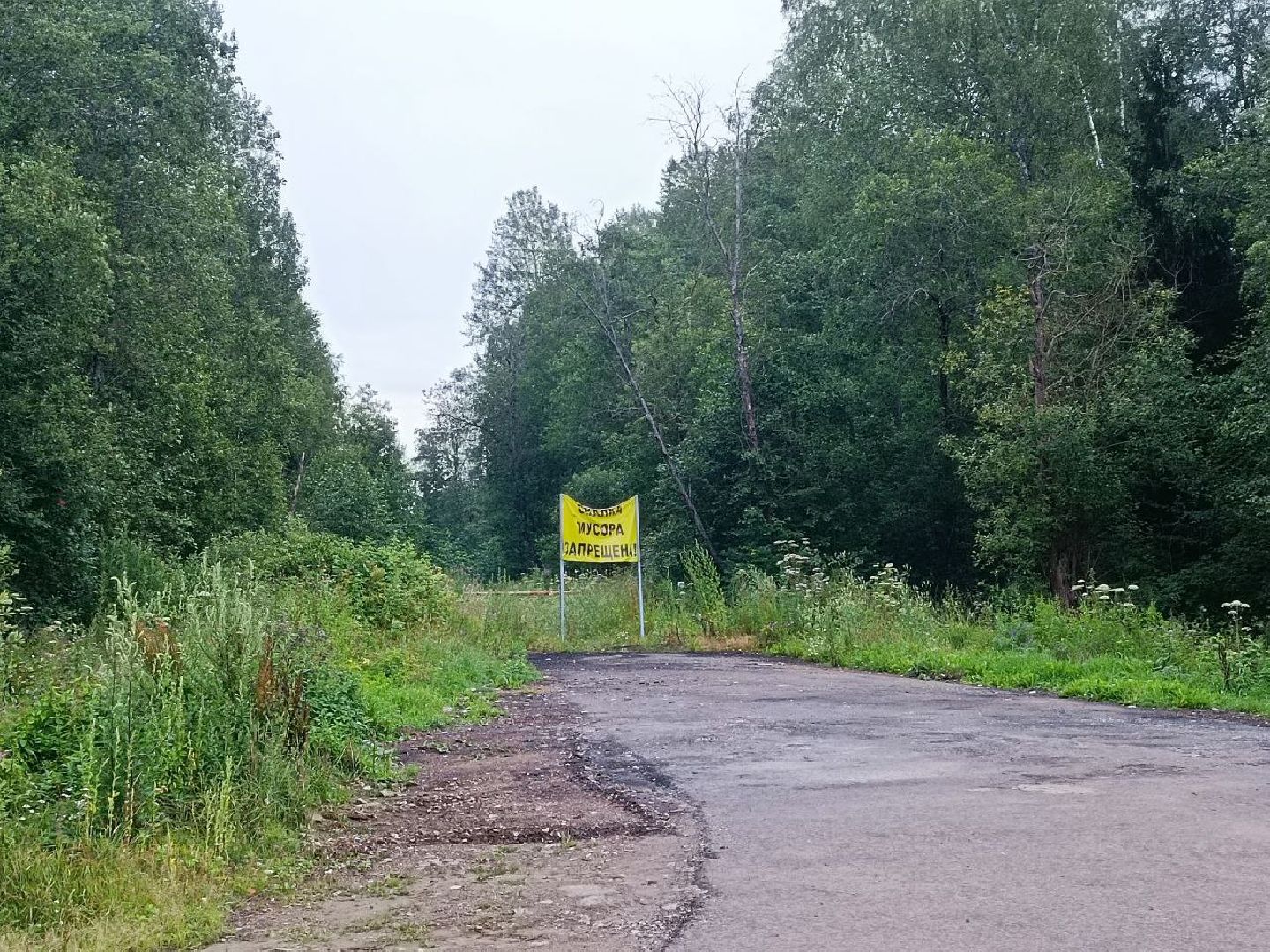 Можайск, Можайский городской округ, Подмосковье, мусор, дороги, проблема, решение, жители, жалобы, свалки, вывоз мусора, ТКО, ГКО
