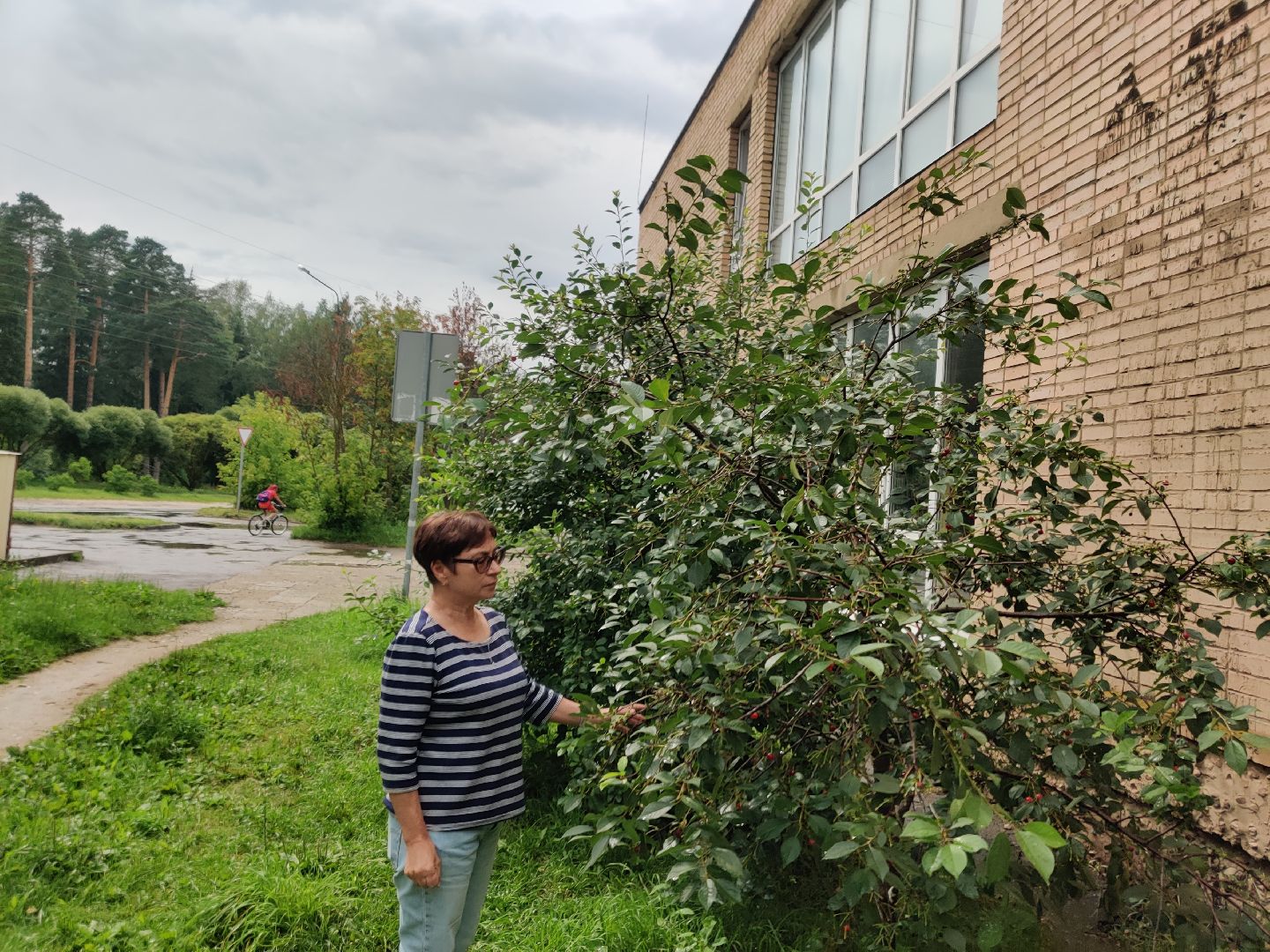 Красноармейск, Пушкинский, вишневый сад, библиотекари