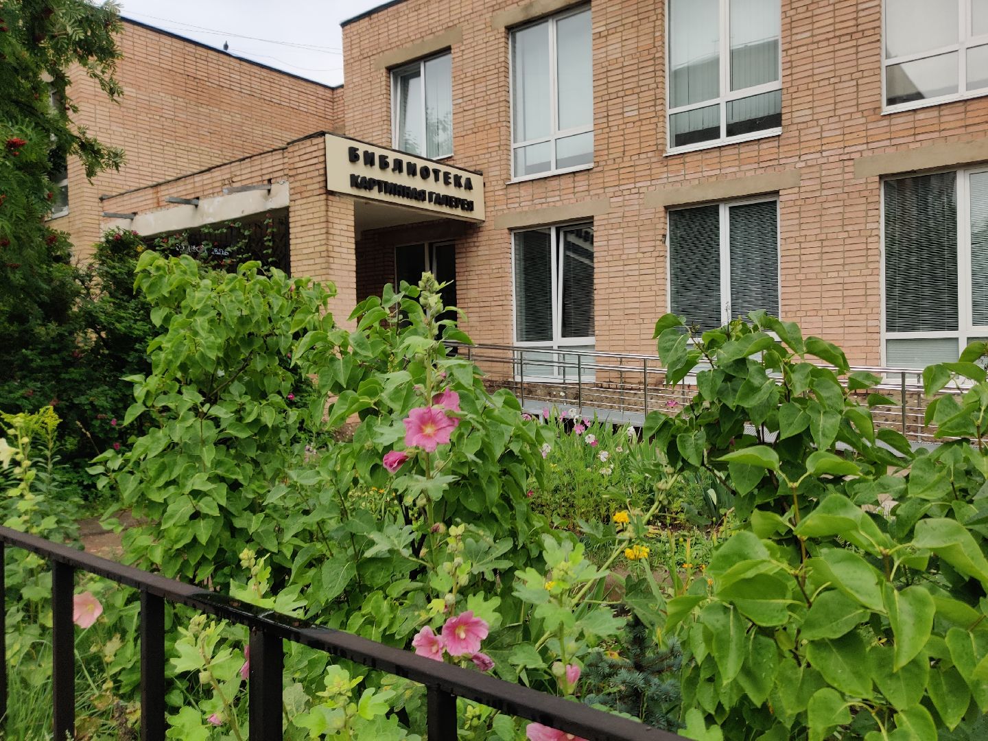 Красноармейск, Пушкинский, вишневый сад, библиотекари