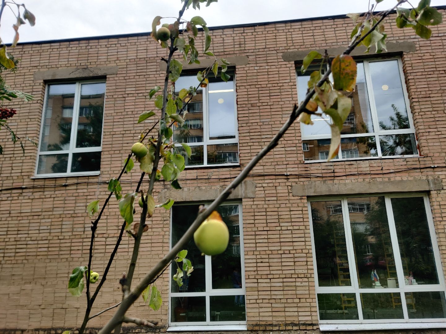 Красноармейск, Пушкинский, вишневый сад, библиотекари