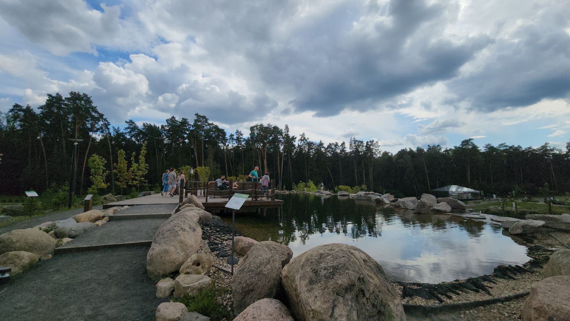 Одинцово, парк малевича, ромашково, немчиновка, раздоры, искусство, пруд, купание, акулы, хищники, художники