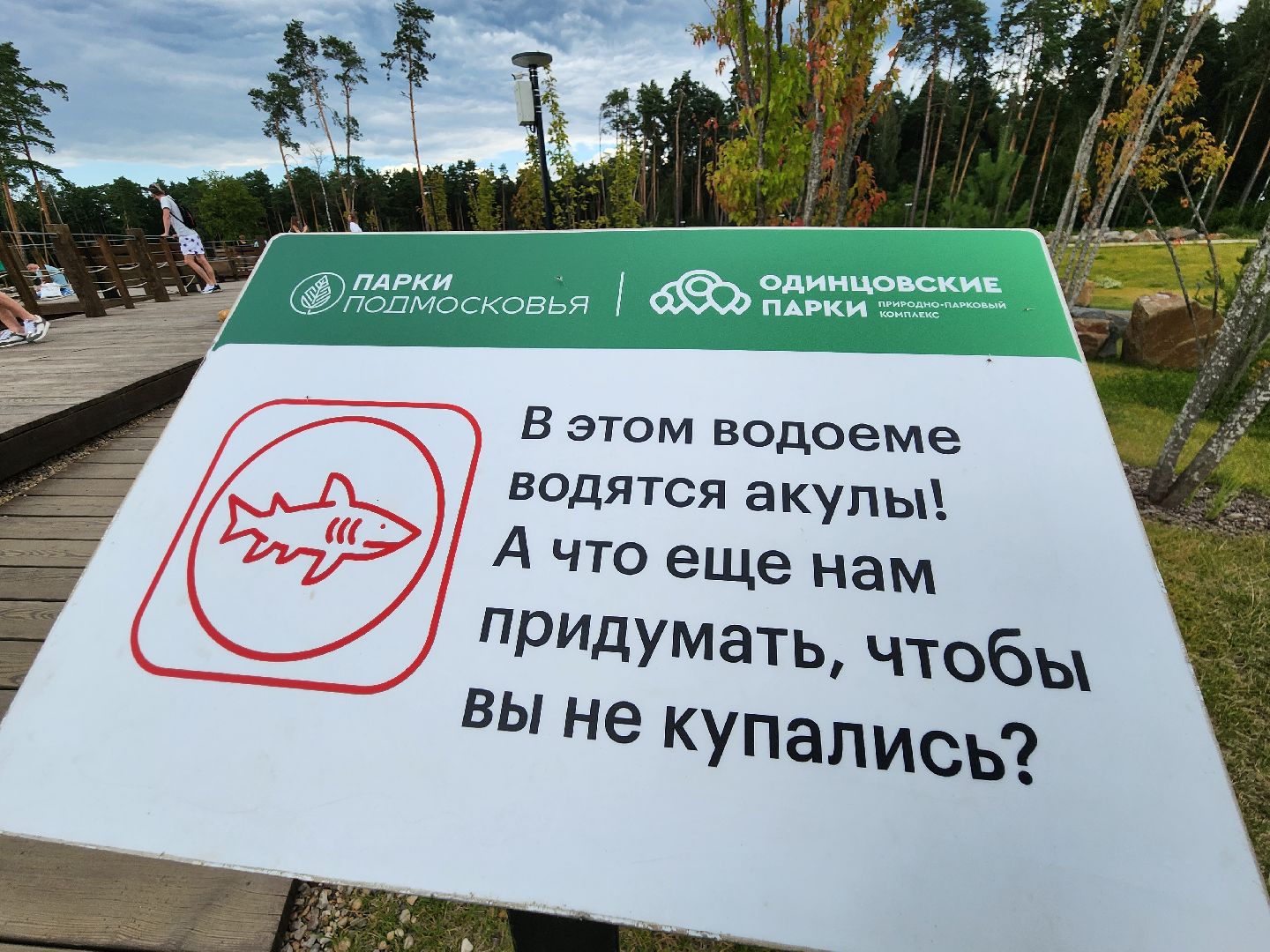 Одинцово, парк малевича, ромашково, немчиновка, раздоры, искусство, пруд, купание, акулы, хищники, художники