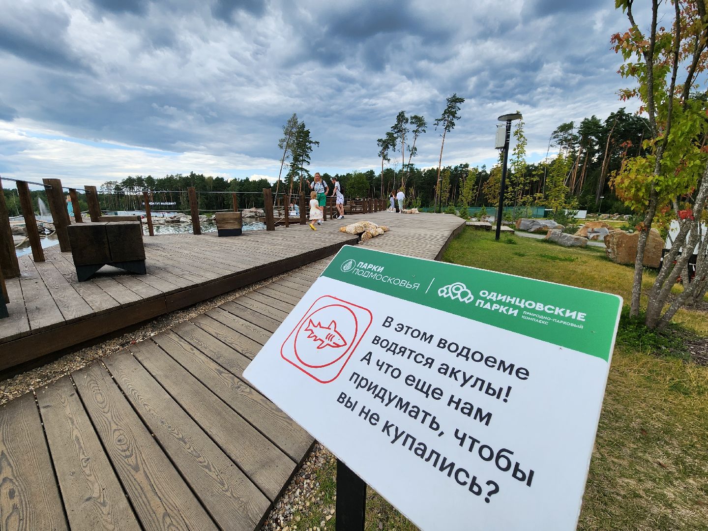 Одинцово, парк малевича, ромашково, немчиновка, раздоры, искусство, пруд, купание, акулы, хищники, художники