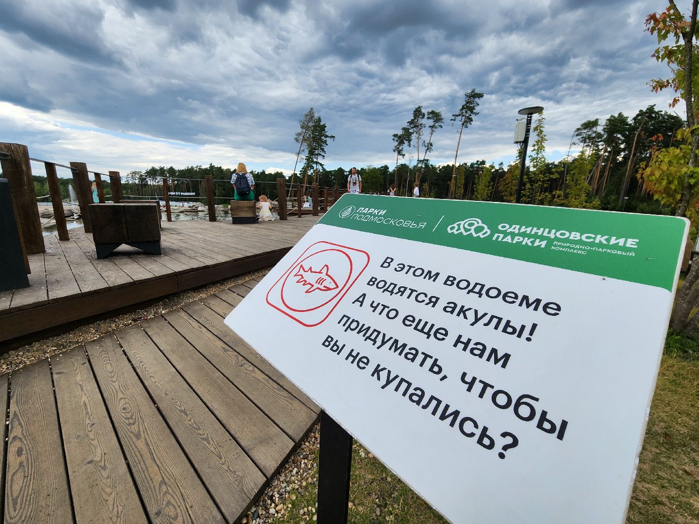 Одинцово, парк малевича, ромашково, немчиновка, раздоры, искусство, пруд, купание, акулы, хищники, художники