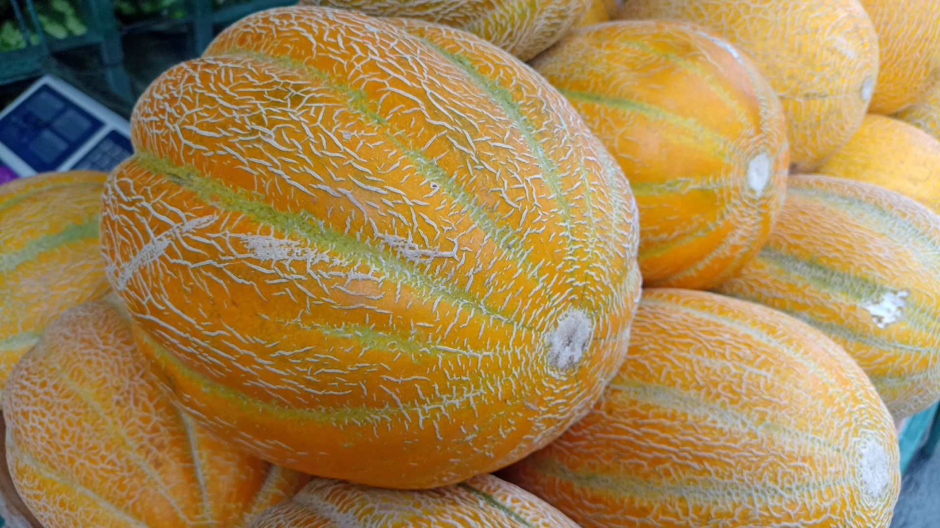 Реутов, бахчевые развалы, арбузы, дыни, сезон ягод, лето