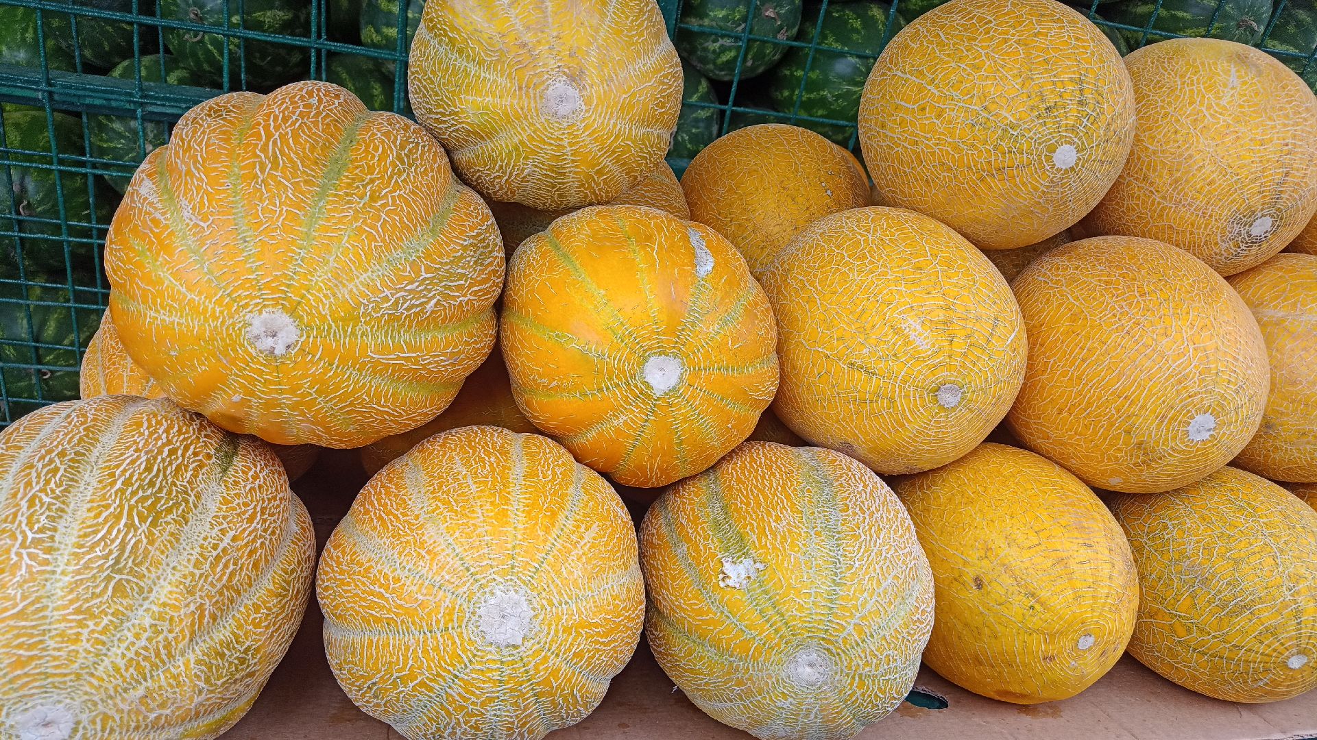 Реутов, бахчевые развалы, арбузы, дыни, сезон ягод, лето