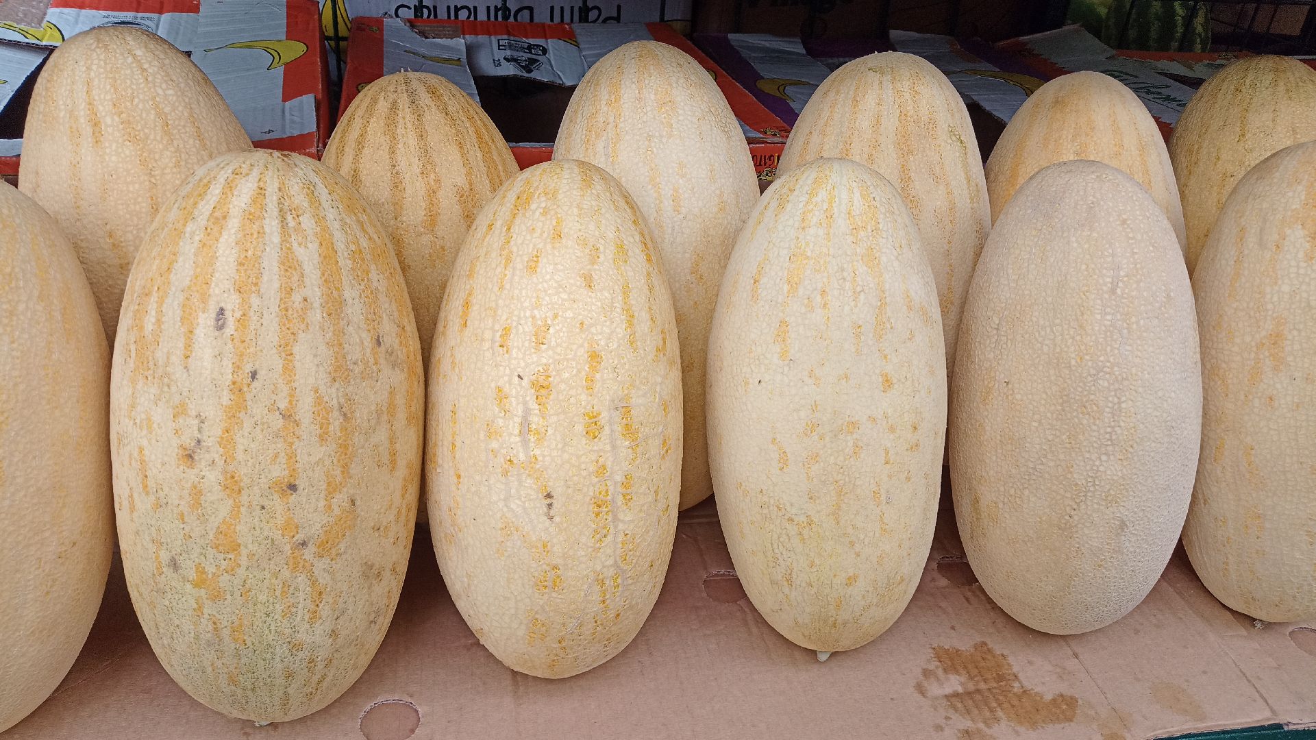 Реутов, бахчевые развалы, арбузы, дыни, сезон ягод, лето