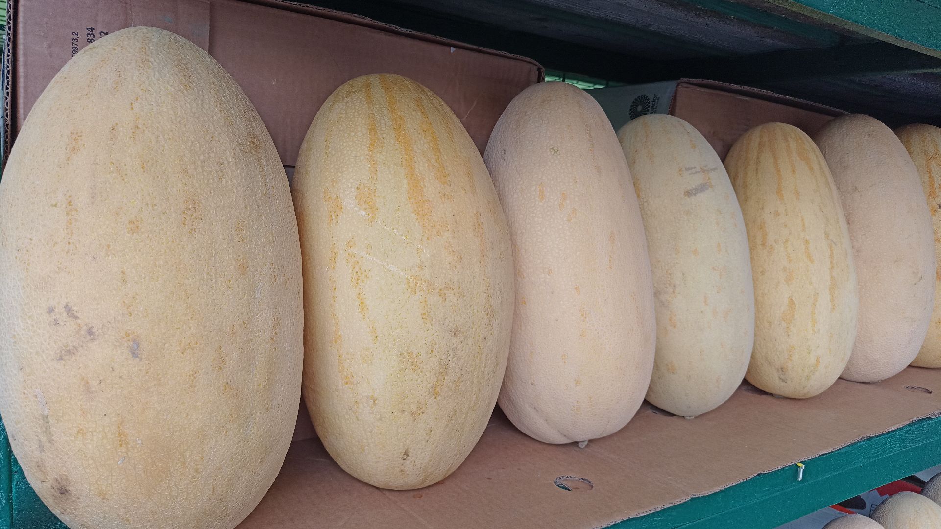 Реутов, бахчевые развалы, арбузы, дыни, сезон ягод, лето