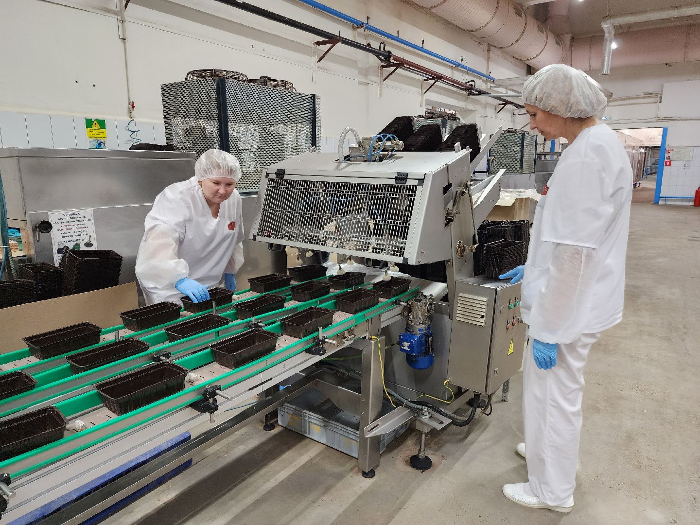 Раменское, экономика, Раменский кондитерский комбинат запустил новую линейку продуктов здорового питания