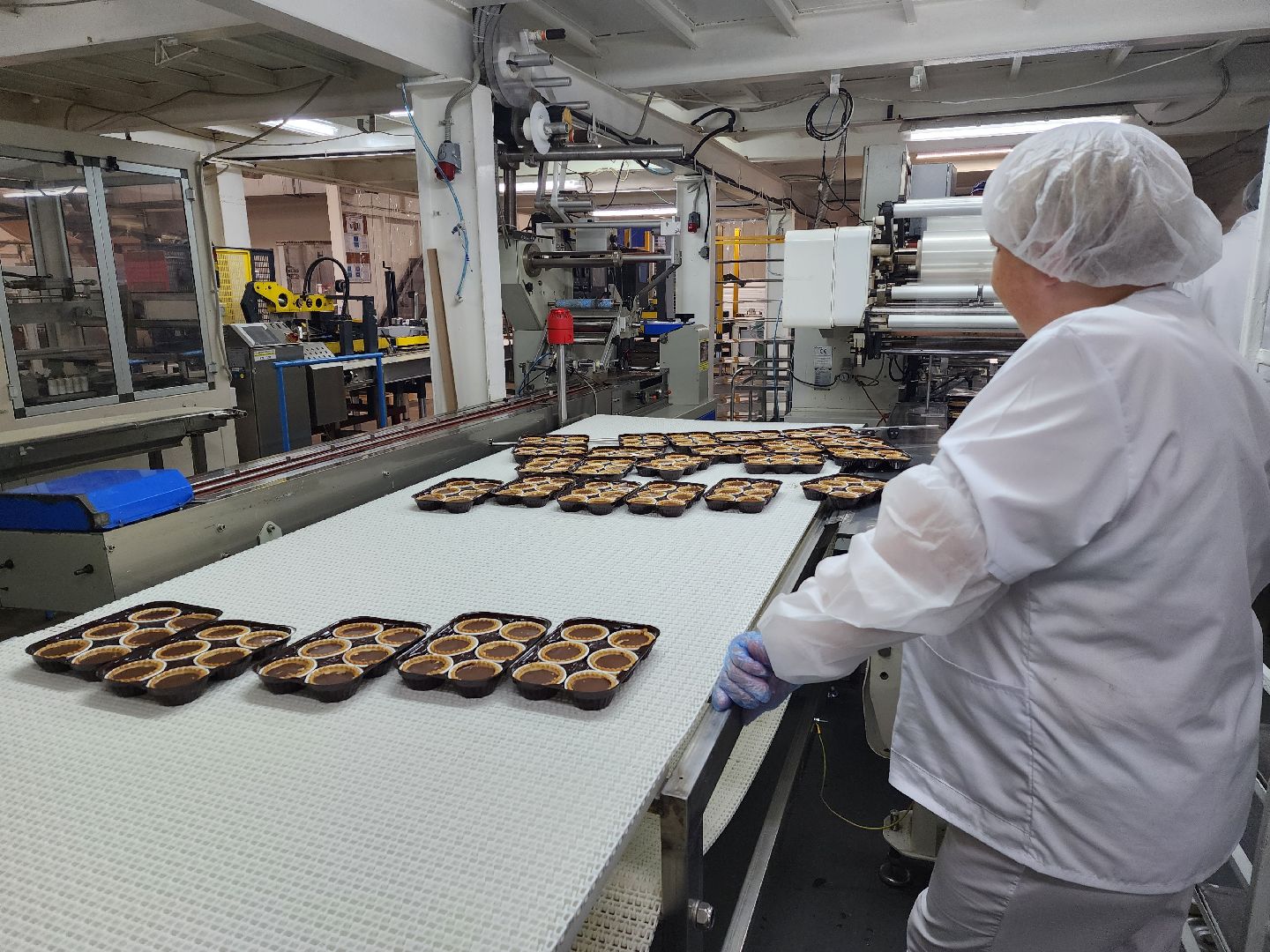 Раменское, экономика, Раменский кондитерский комбинат запустил новую линейку продуктов здорового питания