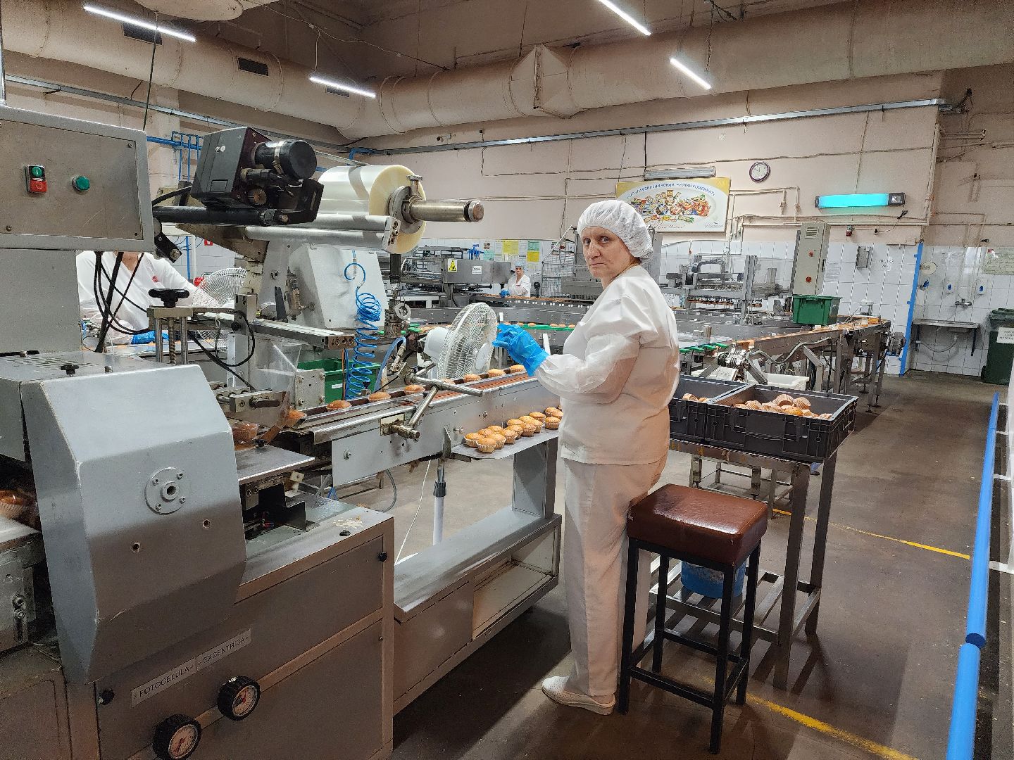 Раменское, экономика, Раменский кондитерский комбинат запустил новую линейку продуктов здорового питания