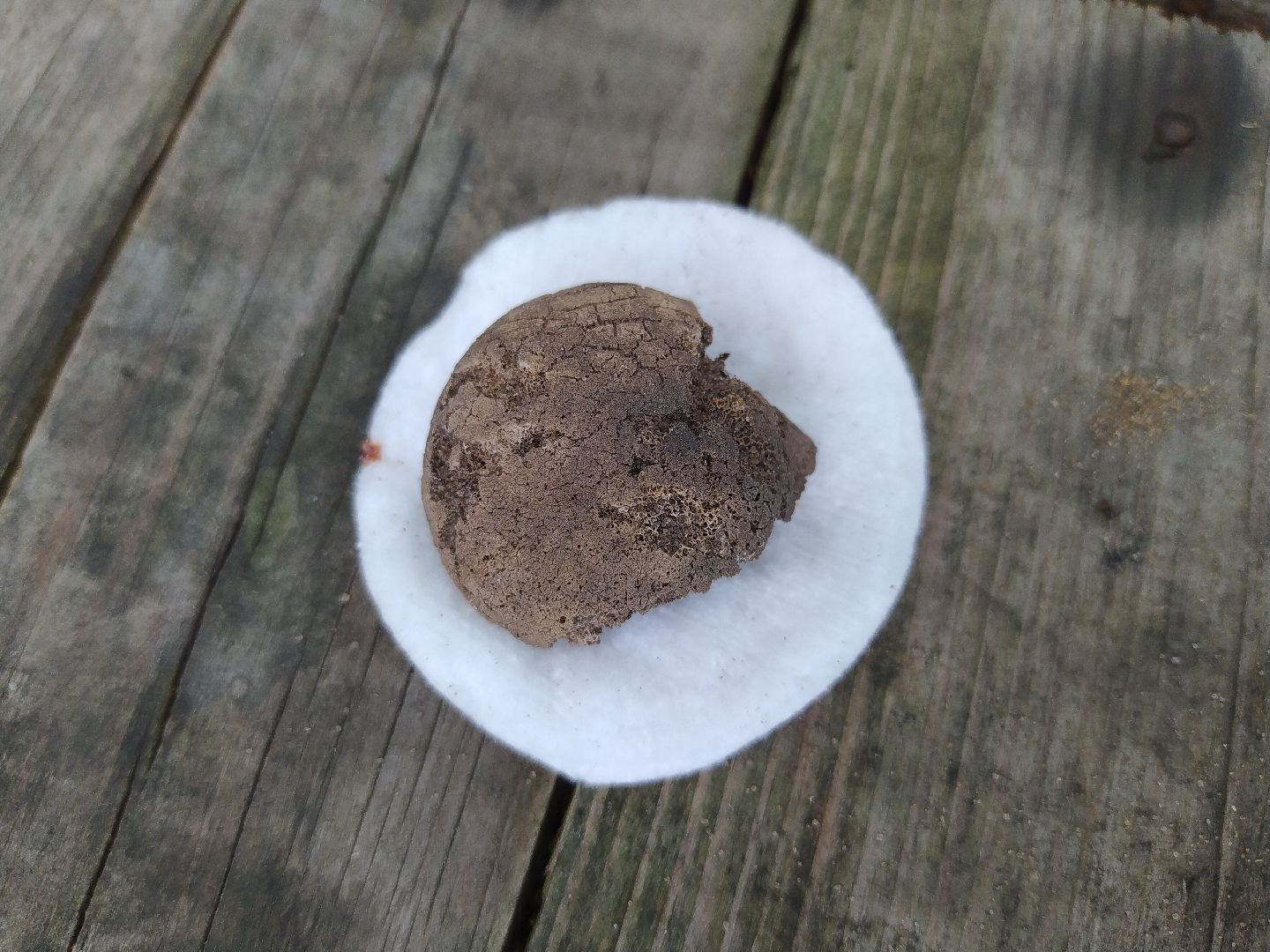 Коломна, Археология, История, Культура