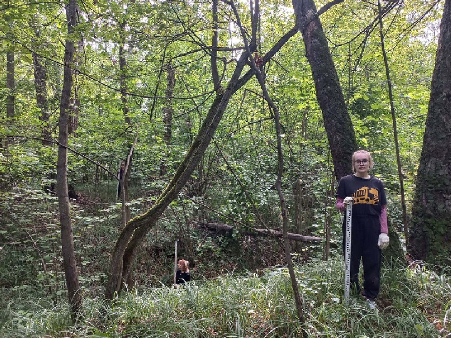 Коломна, Археология, История, Культура