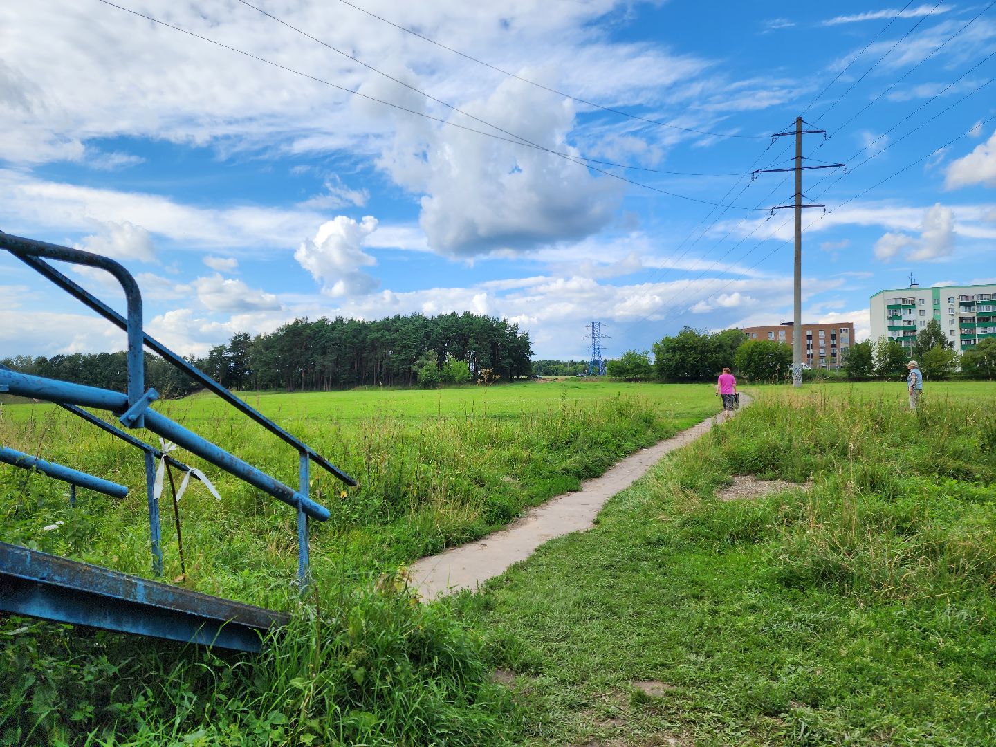 Подольск, подвесной мост, власть, обращение жителей, Дубровицы