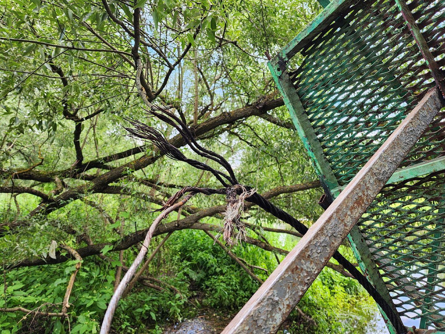 Подольск, подвесной мост, власть, обращение жителей, Дубровицы
