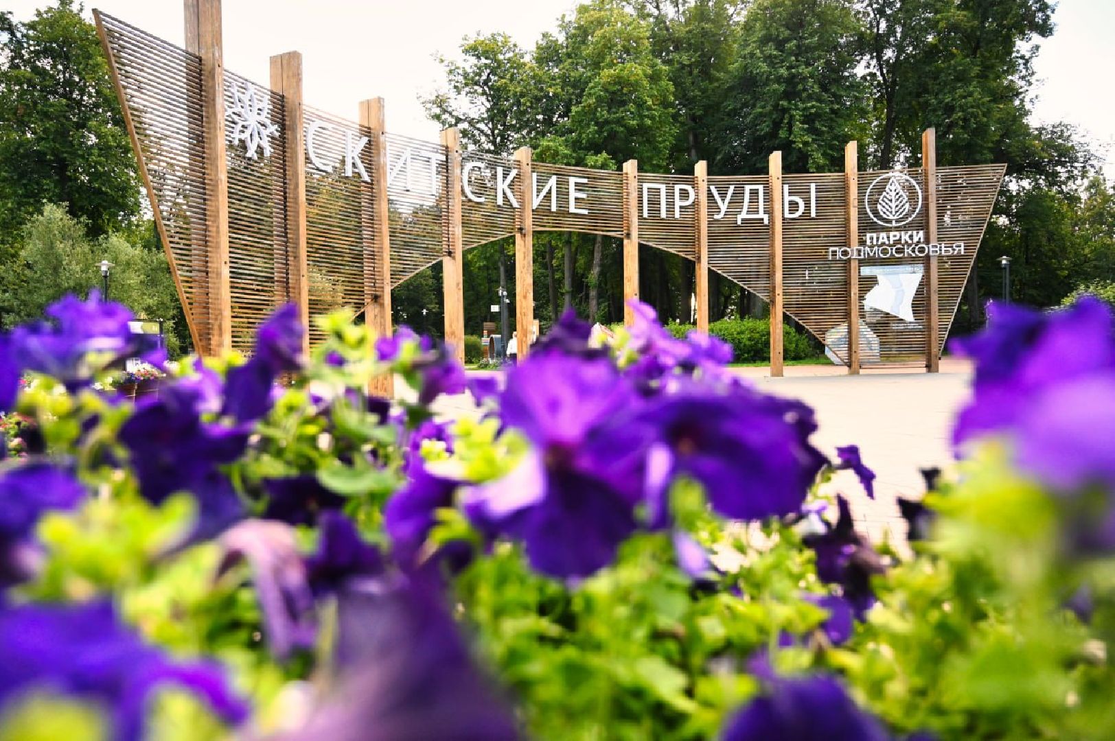 Сергиево-Посадский городской округ, Сергиев Посад, Скитские пруды, Парки, Мероприятия, Досуг, Лето в Подмосковье