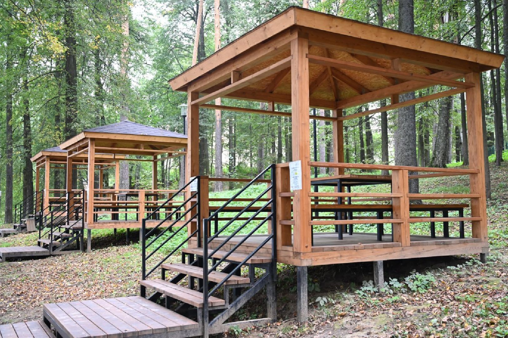 Сергиево-Посадский городской округ, Сергиев Посад, Скитские пруды, Парки, Мероприятия, Досуг, Лето в Подмосковье