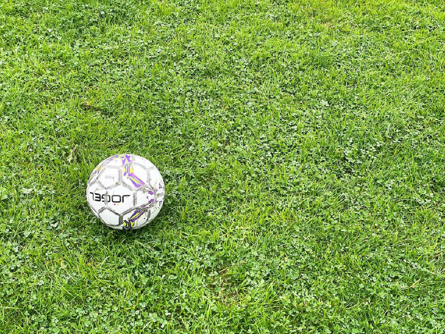 Сергиево-Посадский городской округ, Сергиев Посад, Спорт, Фестиваль, ЗОЖ