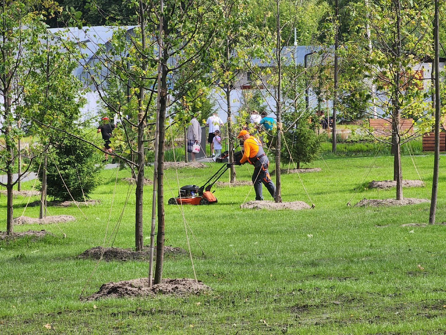 Павловский Посад, городской округ Павловский Посад, парк, Дубрава, благоустройство, люди, жители
