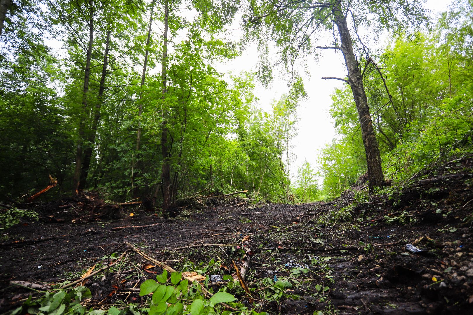 #Шатура#ЛыжнаяТрасса#СтадионЭнергия#ПаркГагарина#развитие#благоустройство