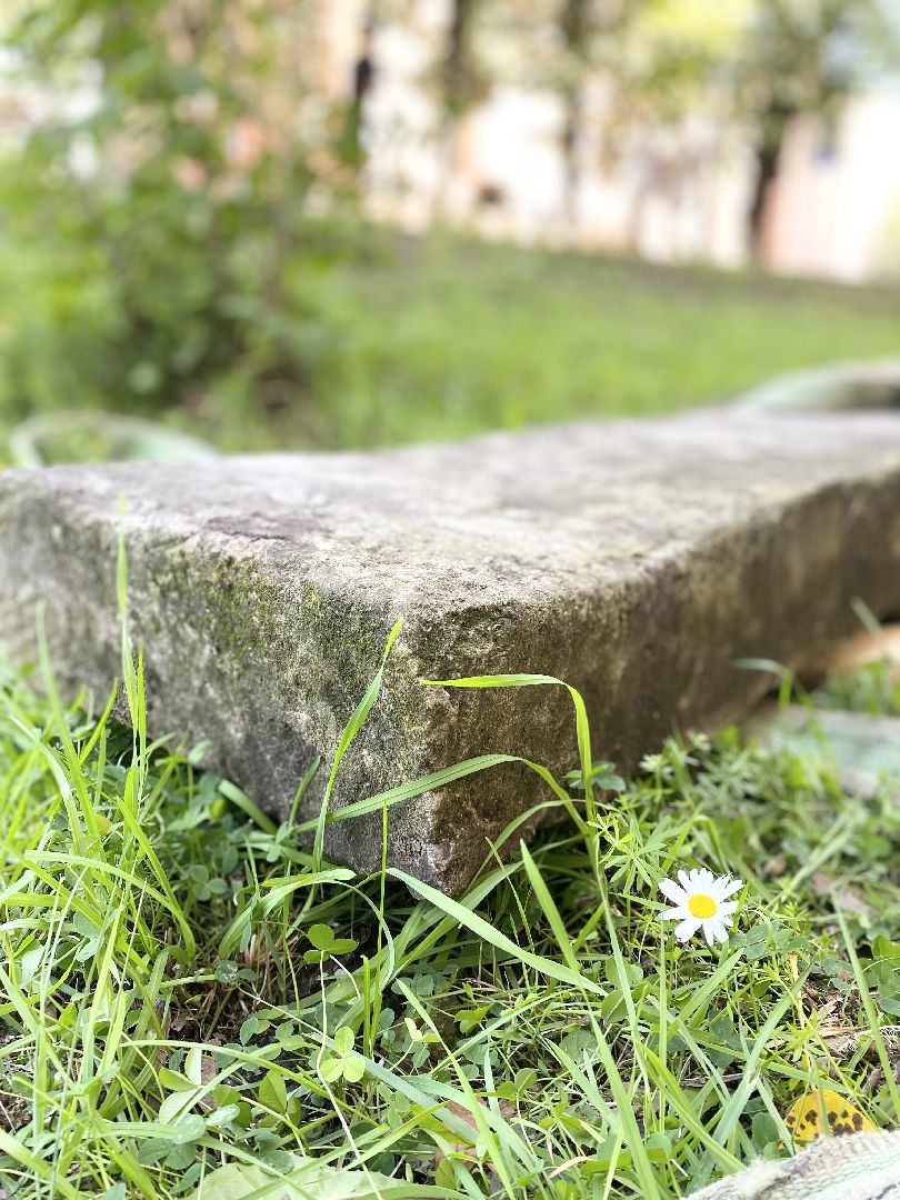 Домодедово, надгробная плита, старорусские обычаи, экспонат, музей, артефакт