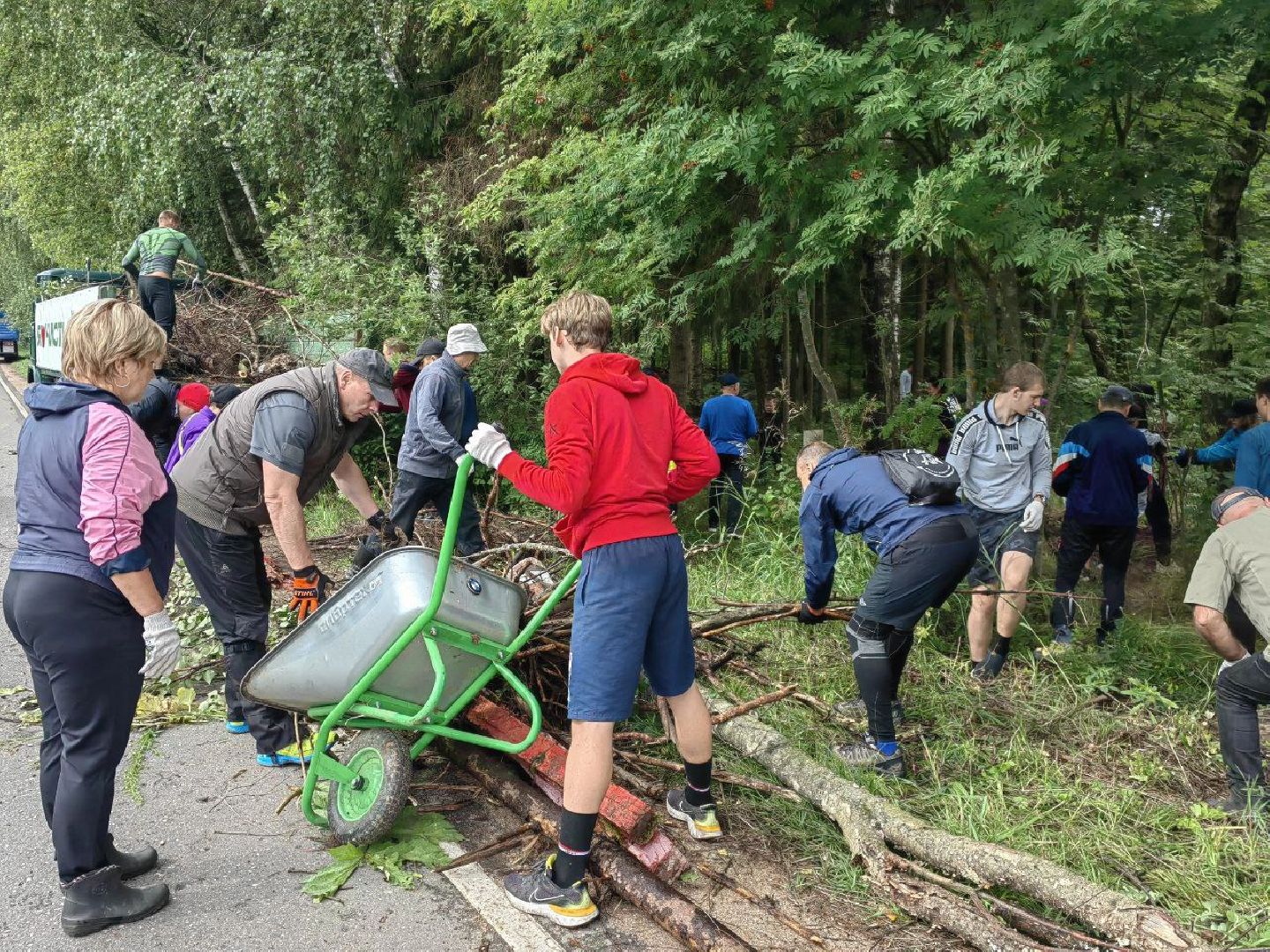 Солнечногорск, субботник, лес, акция, жители