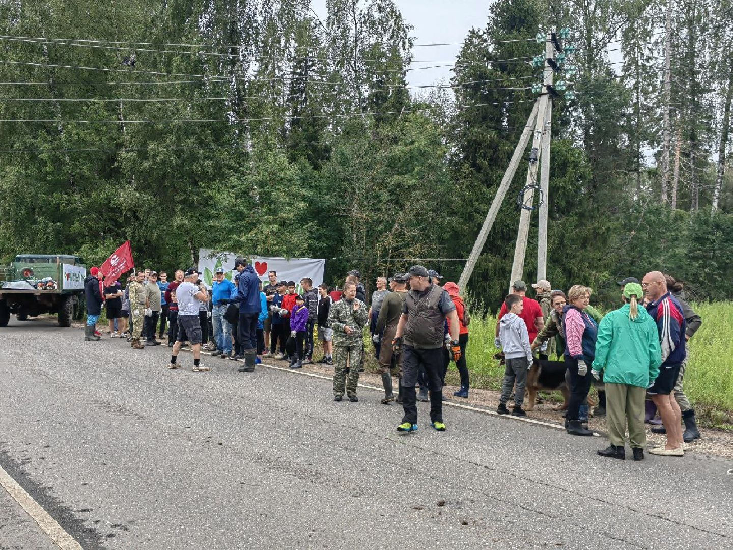 Солнечногорск, субботник, лес, акция, жители