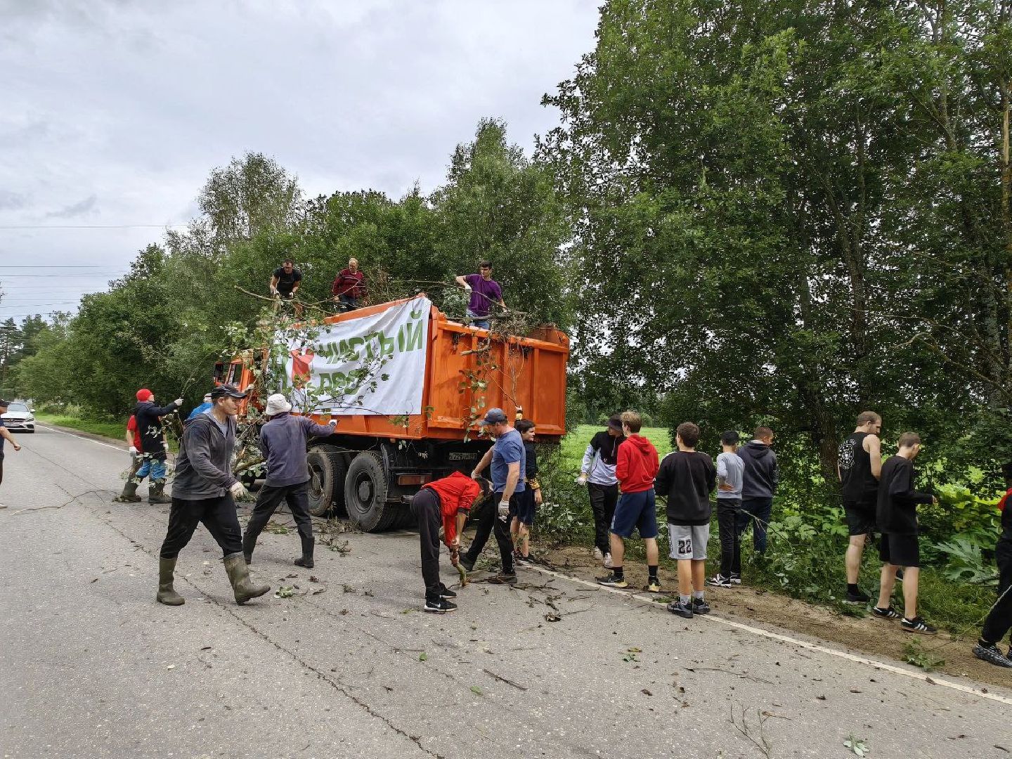 Солнечногорск, субботник, лес, акция, жители