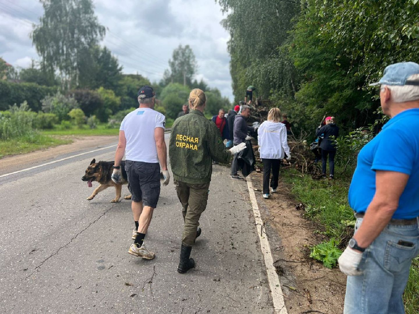 Солнечногорск, субботник, лес, акция, жители