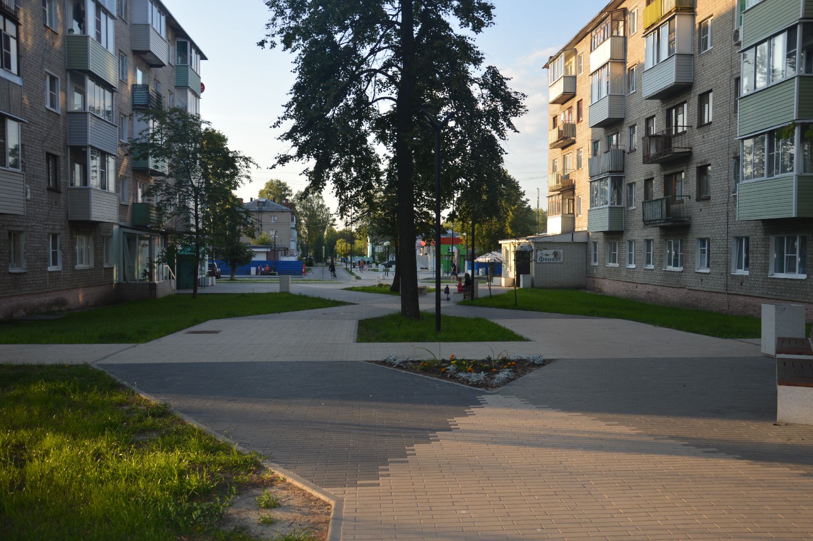 городской округ Шатура, Шатура, фотовыставка, фото. медицина, медики, врачи