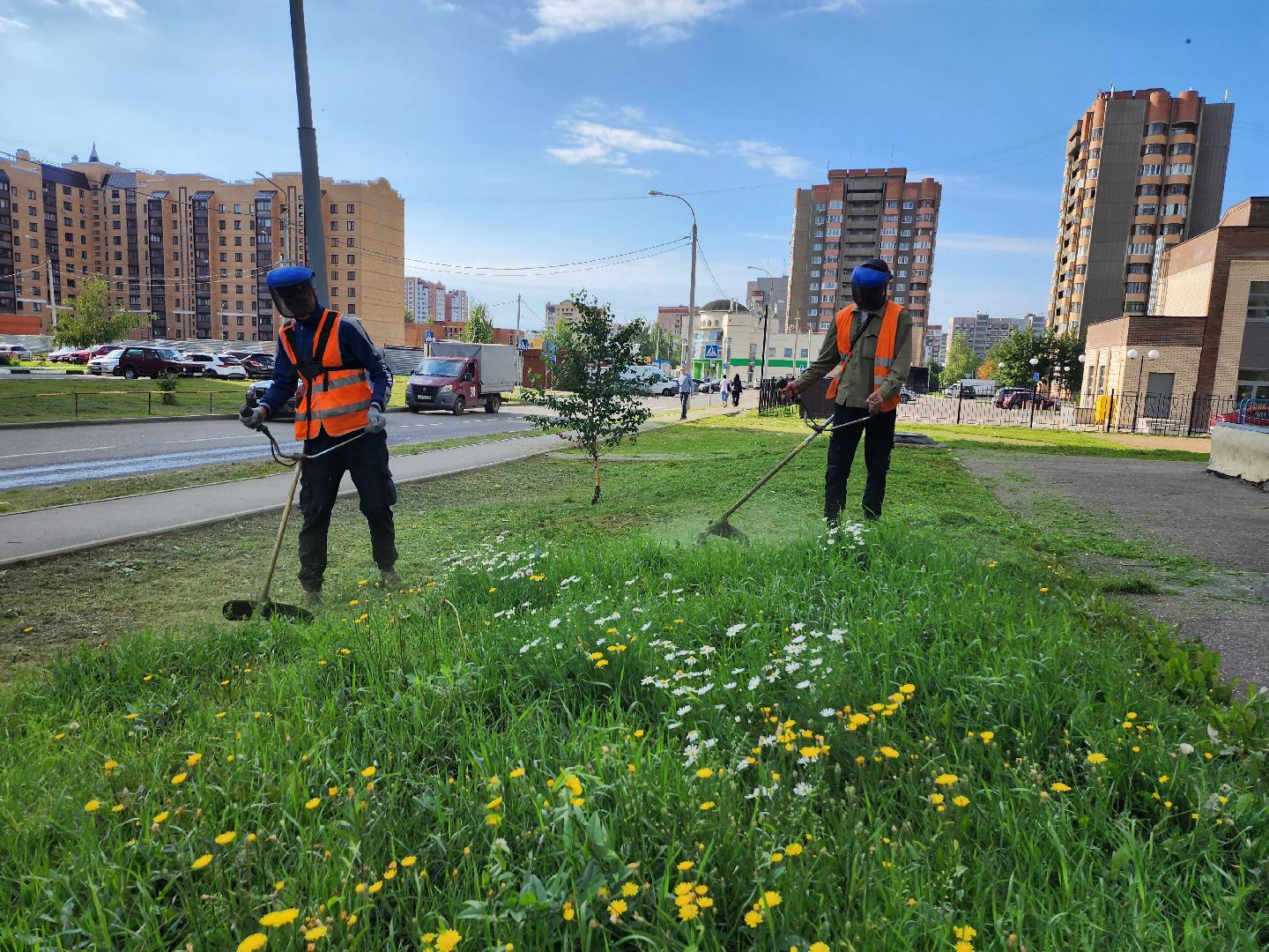 серпухов, благоустройство, покос травы, двор, наведение порядка, ивановские дворики, бульвар 65 дет победы,