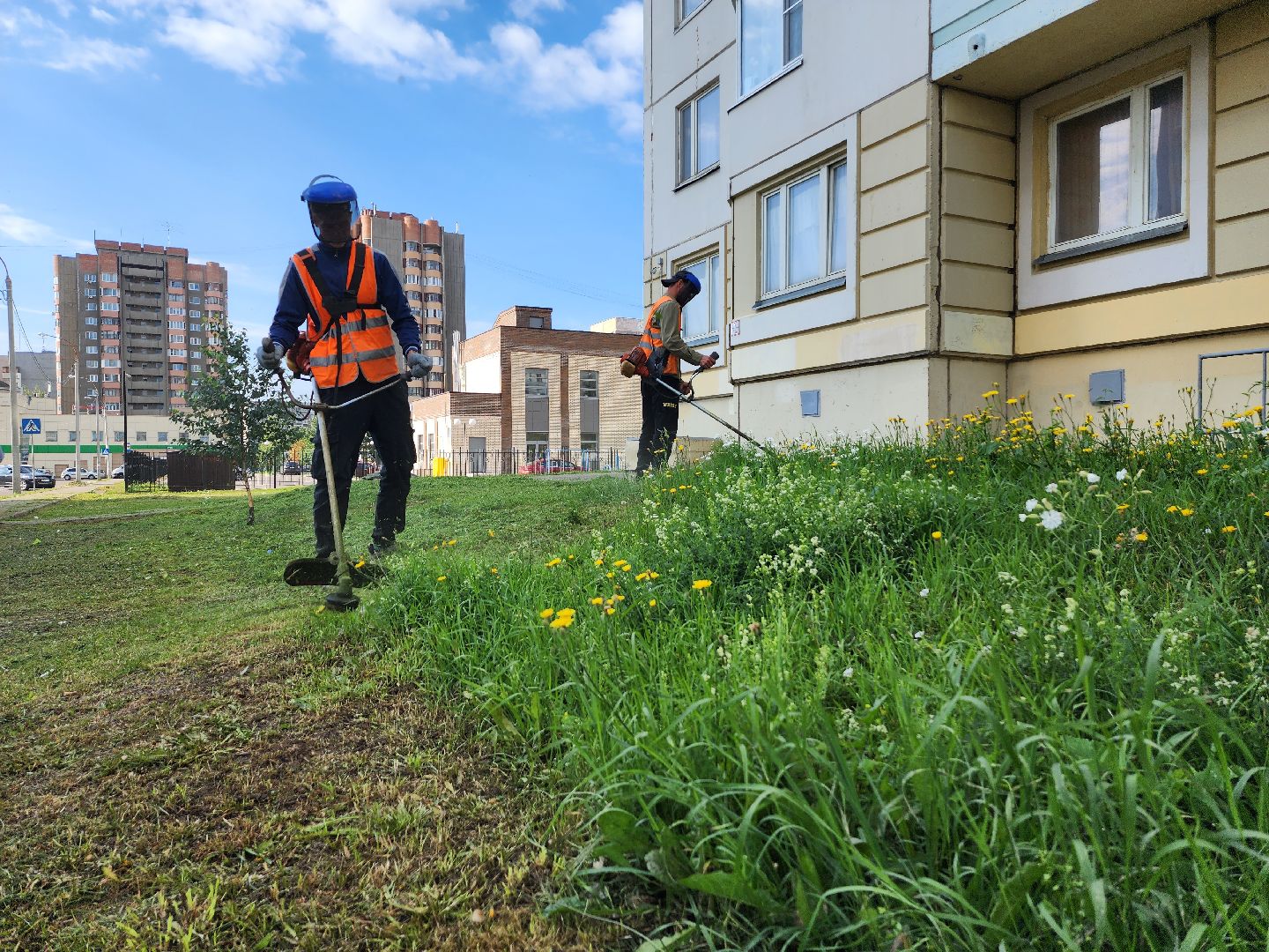 серпухов, благоустройство, покос травы, двор, наведение порядка, ивановские дворики, бульвар 65 дет победы,