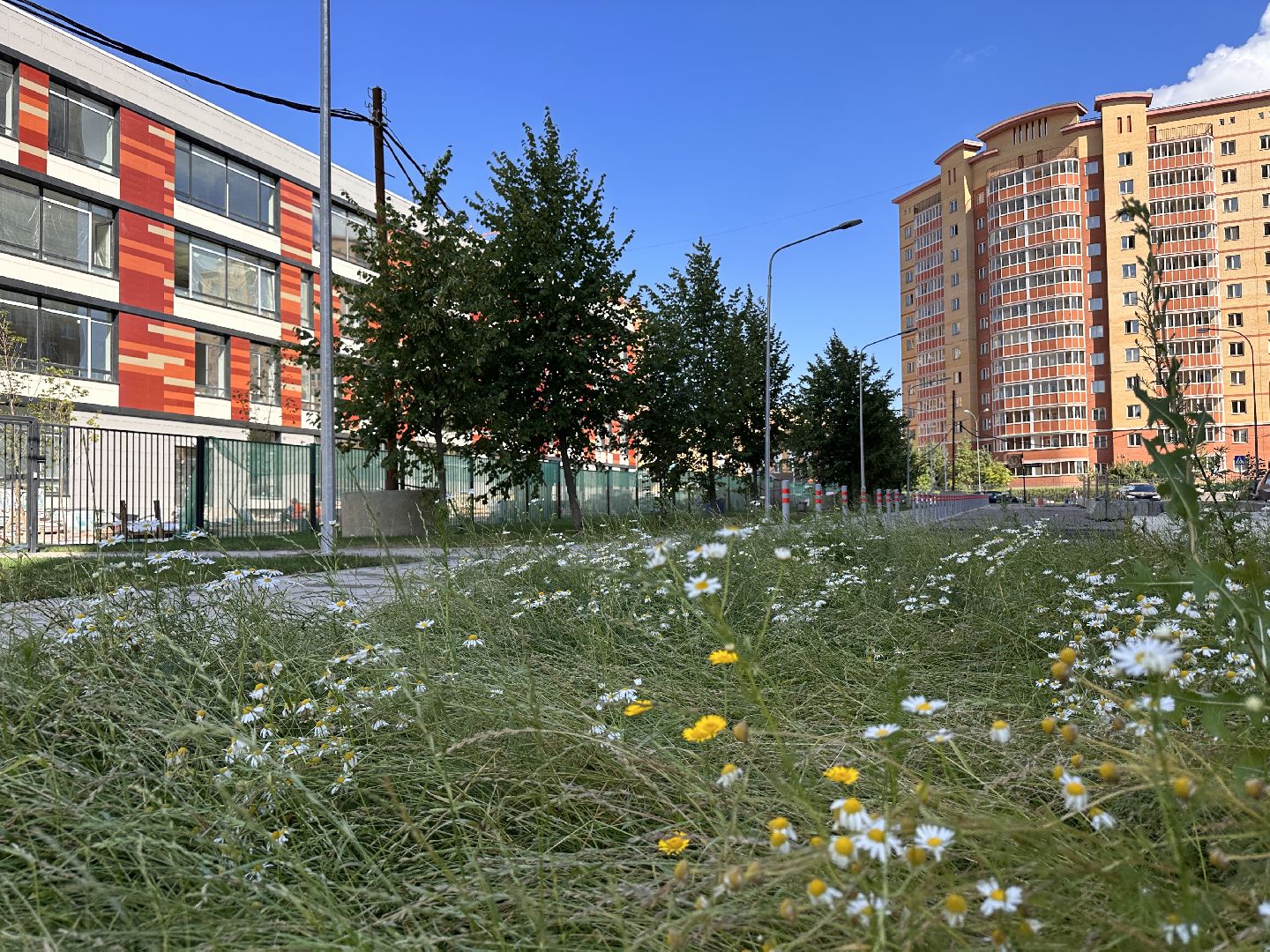 Одинцово, Гусарская баллада, Школа, Подмосковье