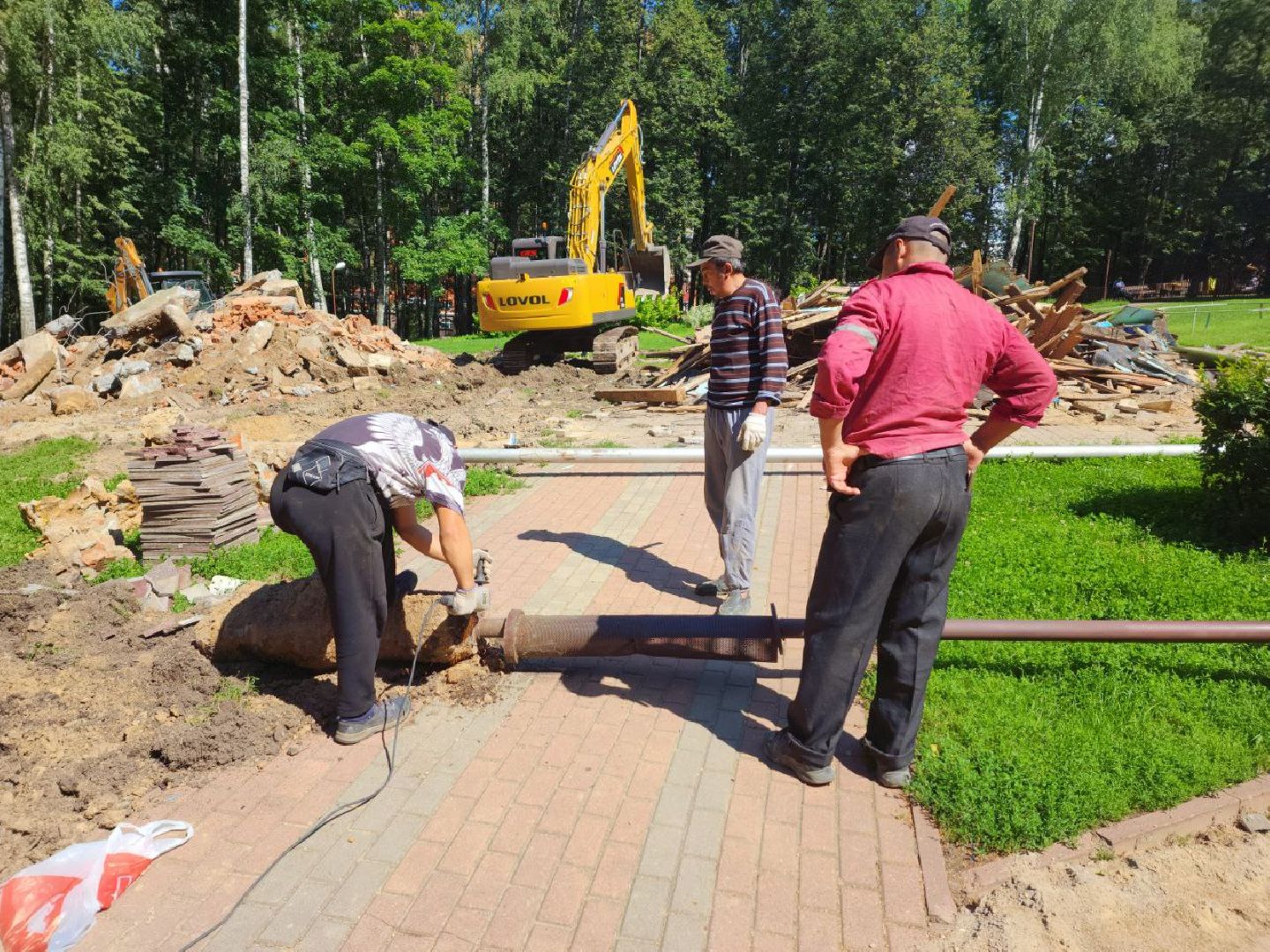 Дмитров, Парк Березовая роща, Минблаго МО